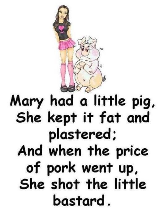 mary had a little pig